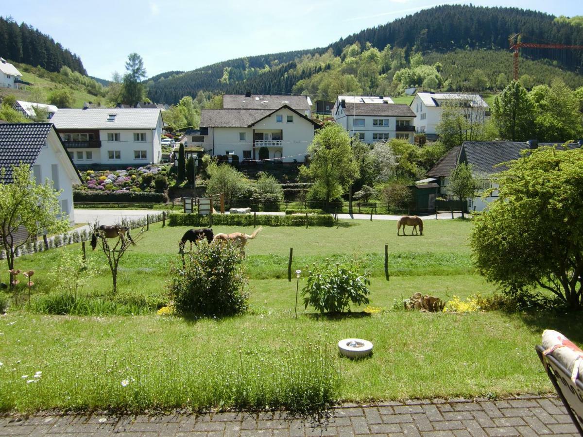 Ferienwohnung Lenne Schmallenberg Εξωτερικό φωτογραφία